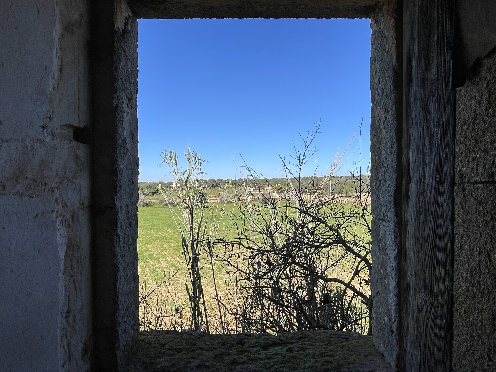Property picture