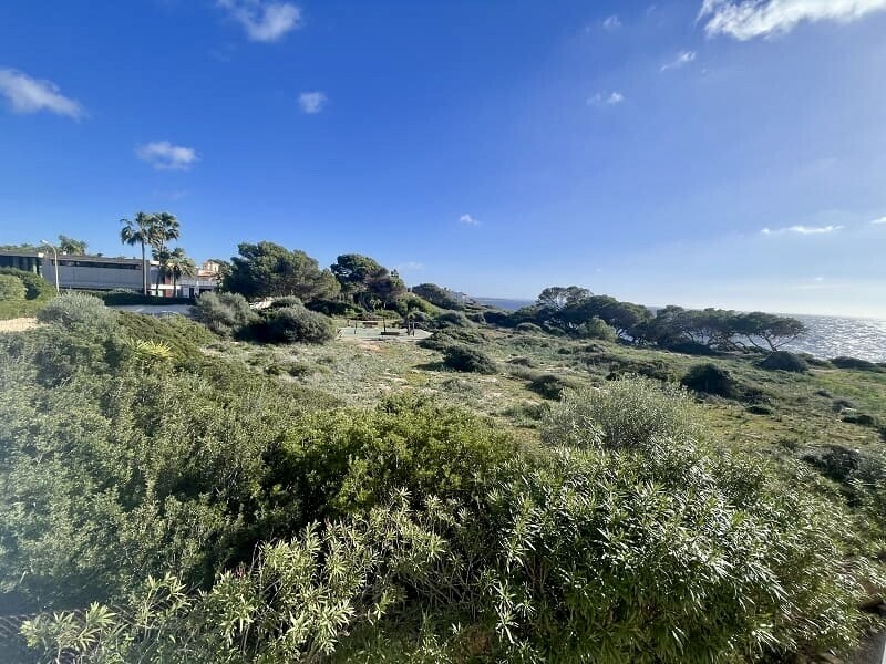 Property picture