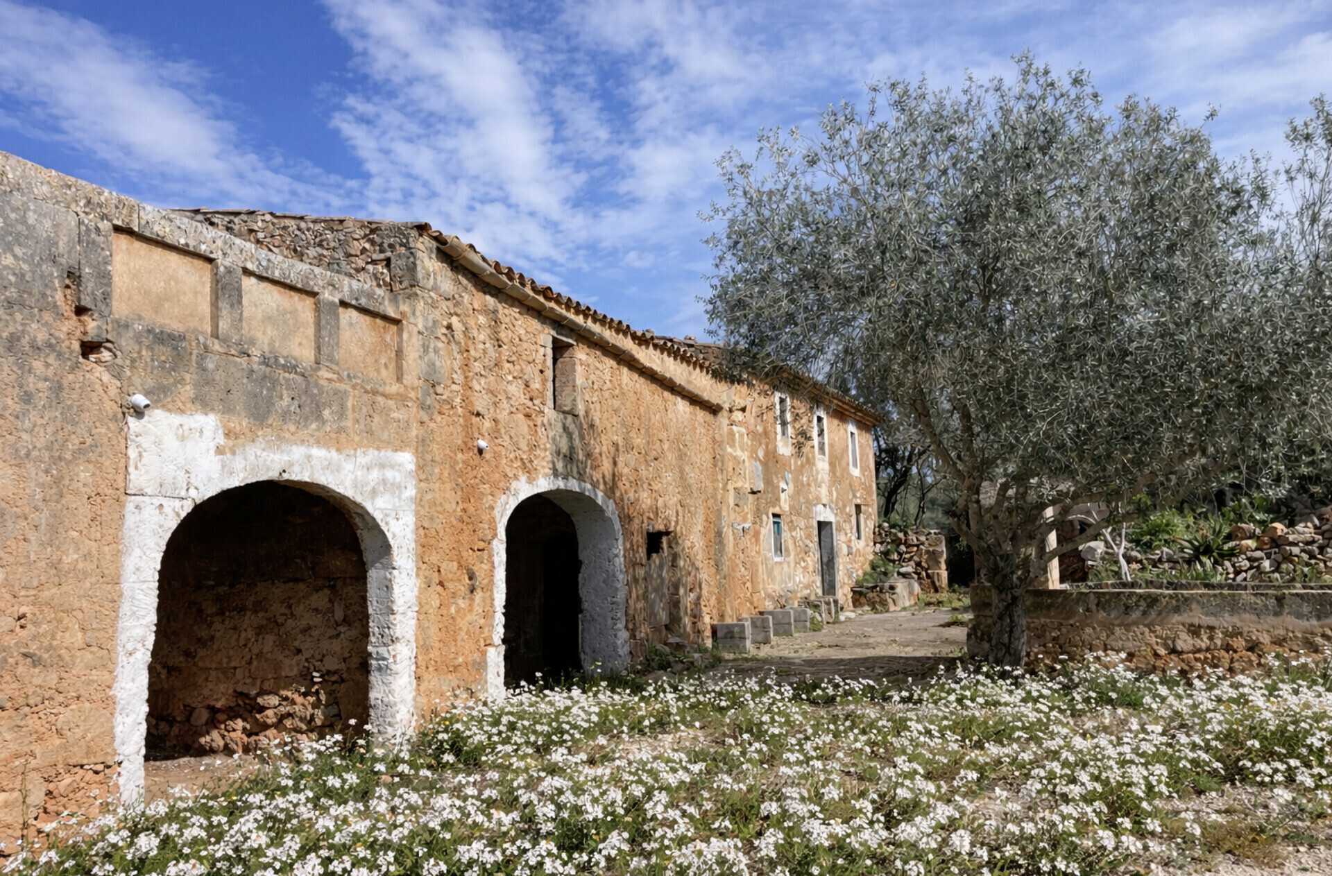 Property picture