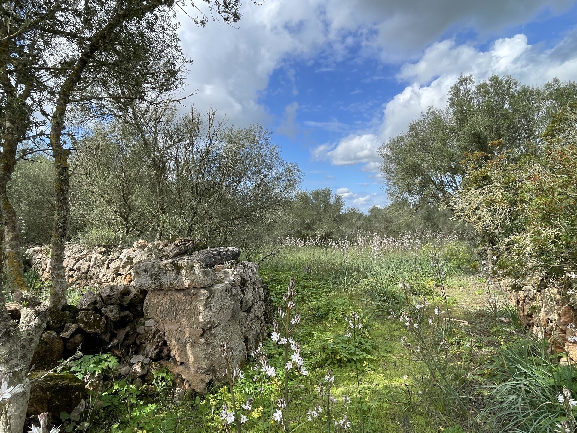 Property picture