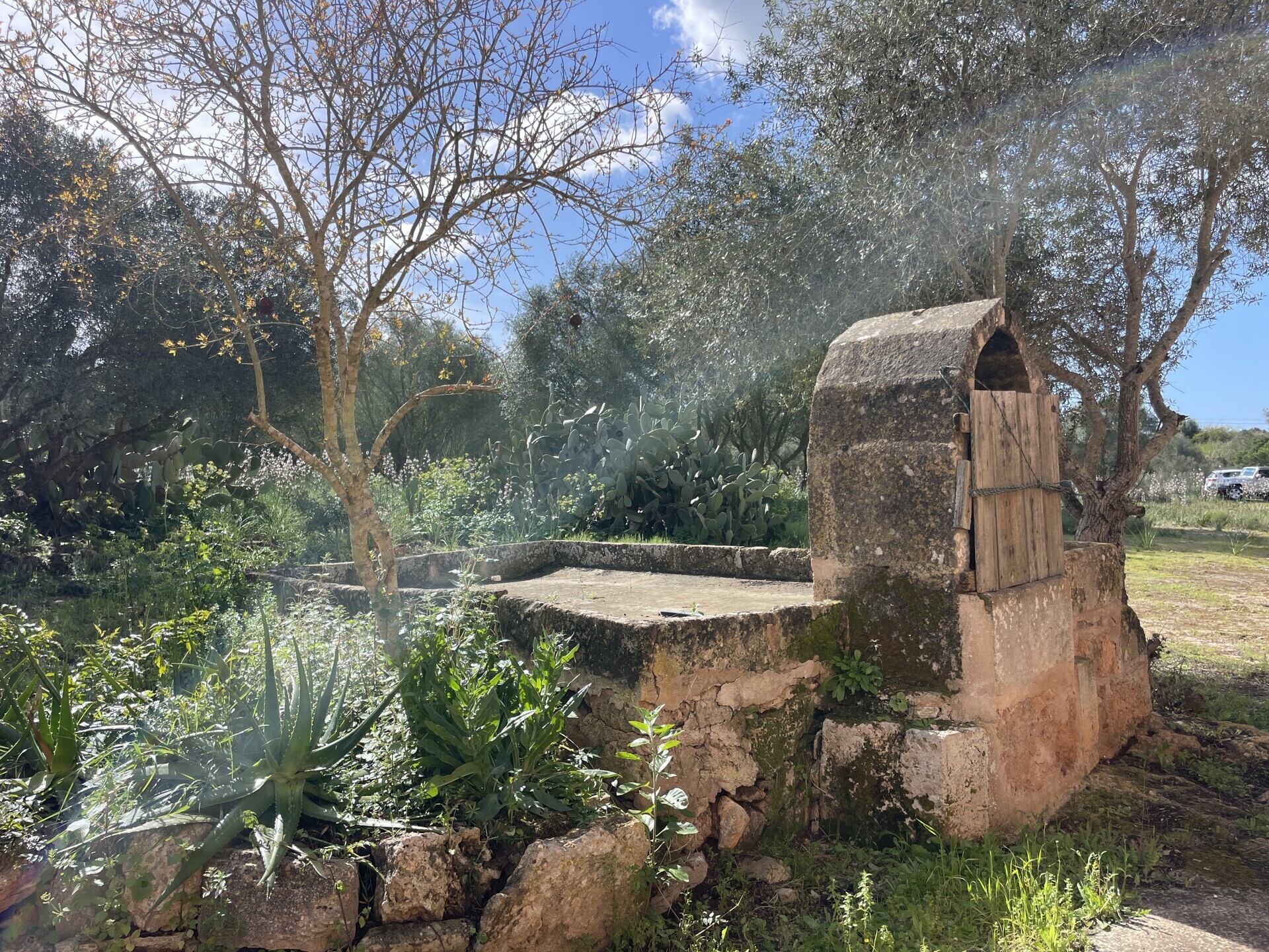 Property picture