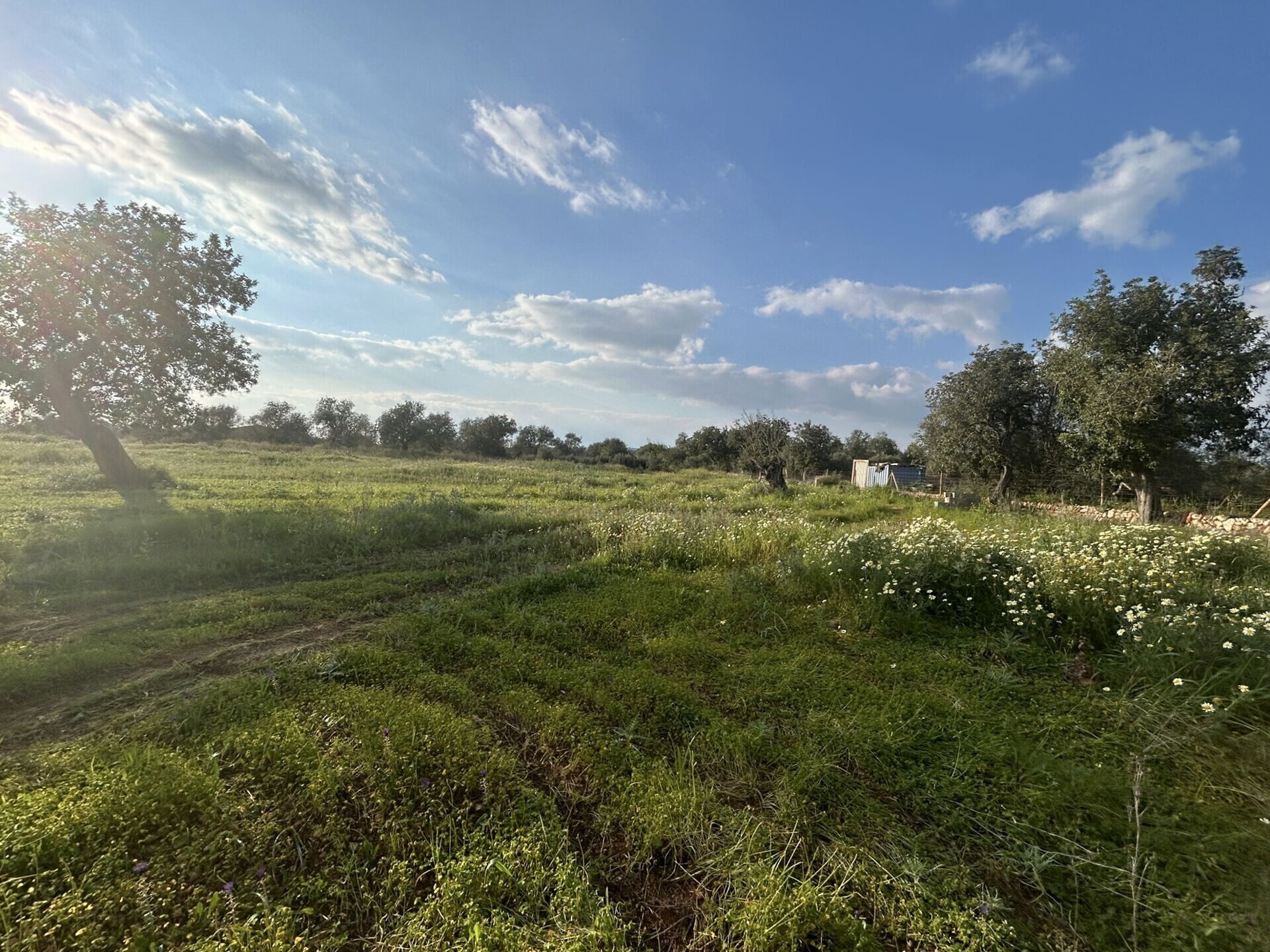 Property picture