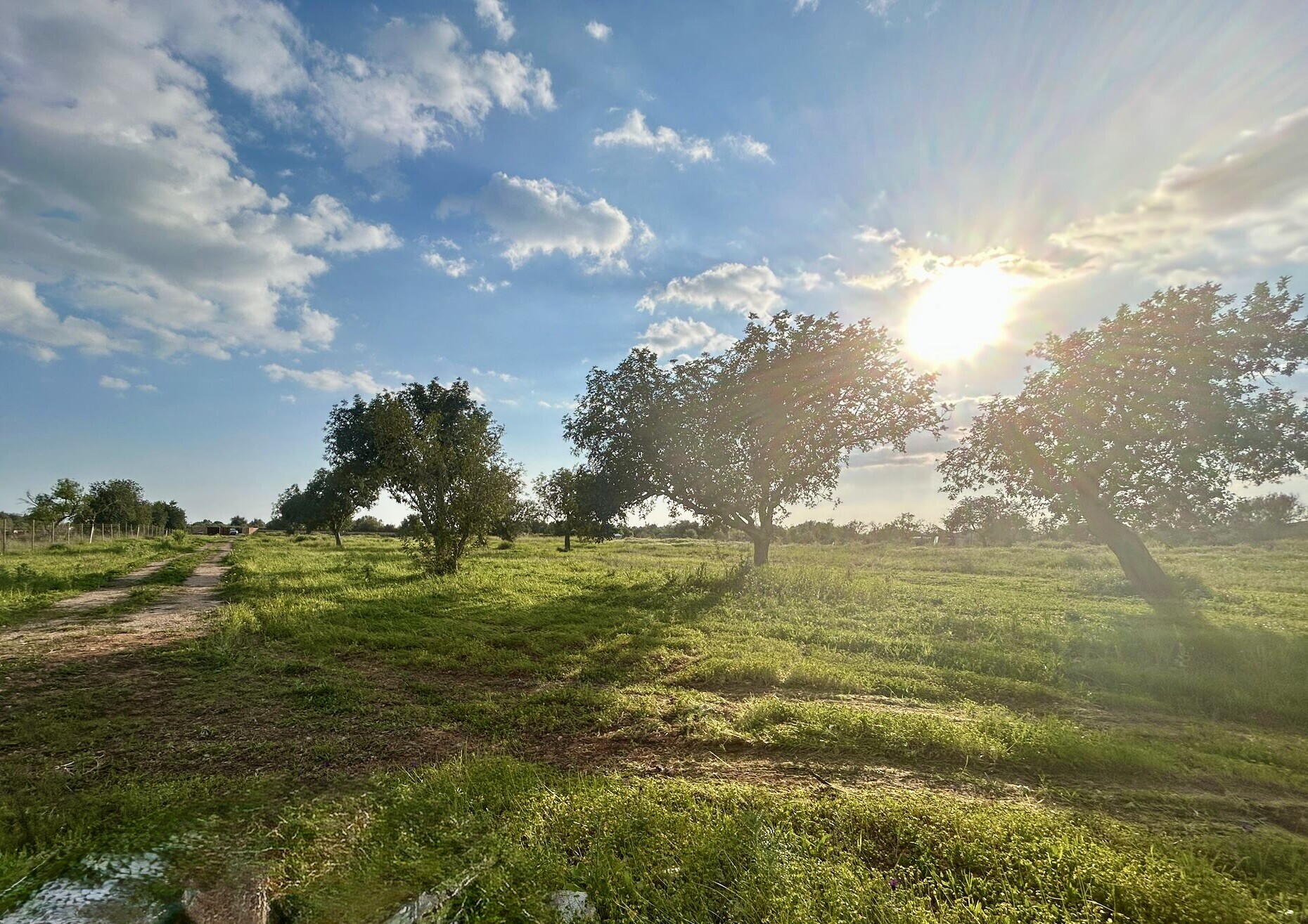 Property picture