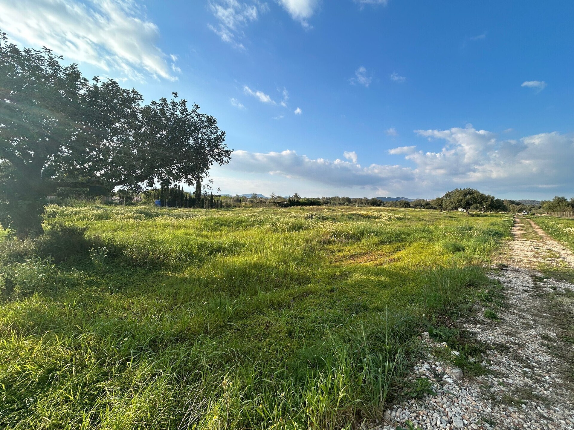 Property picture