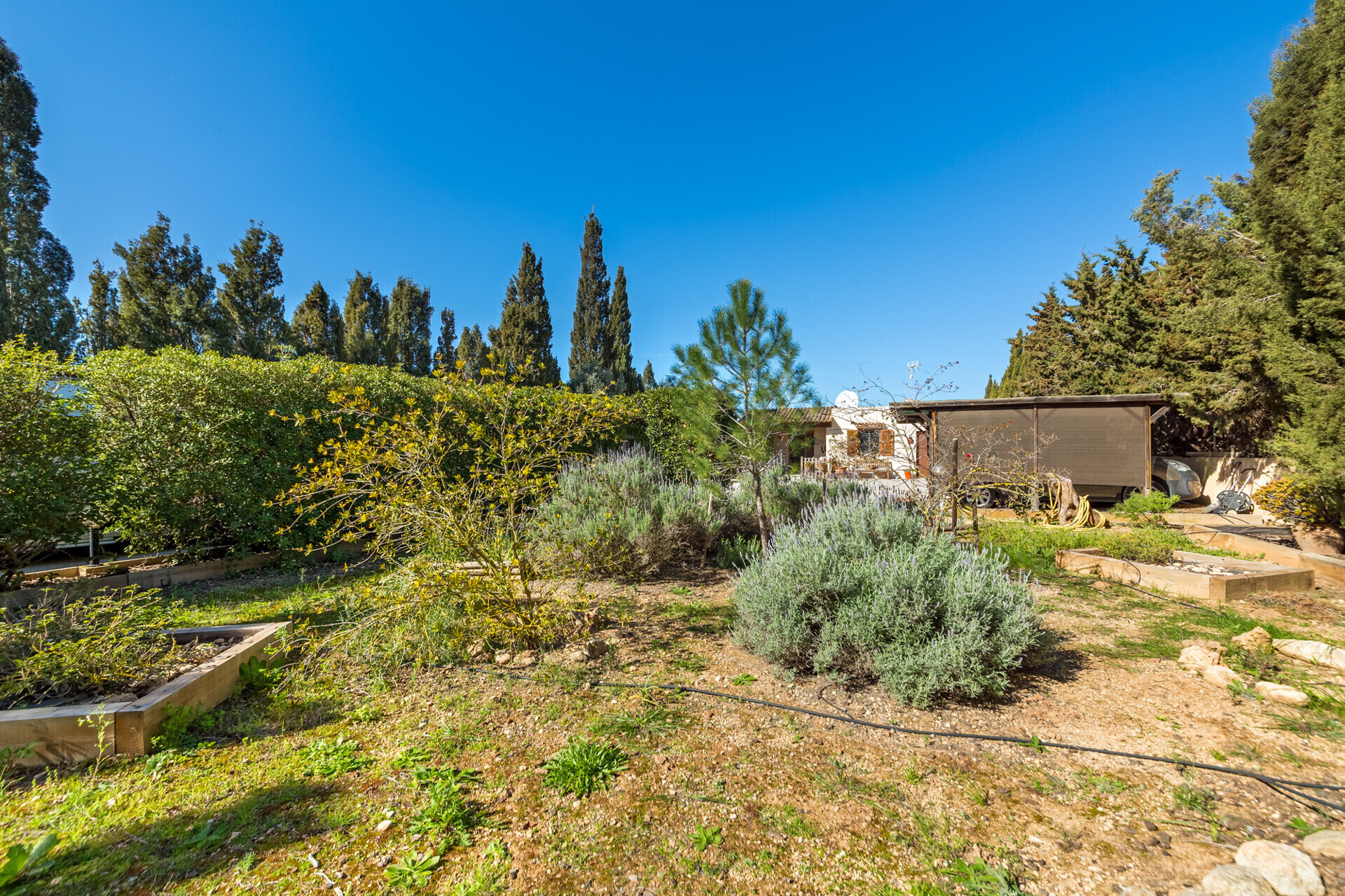 Property picture