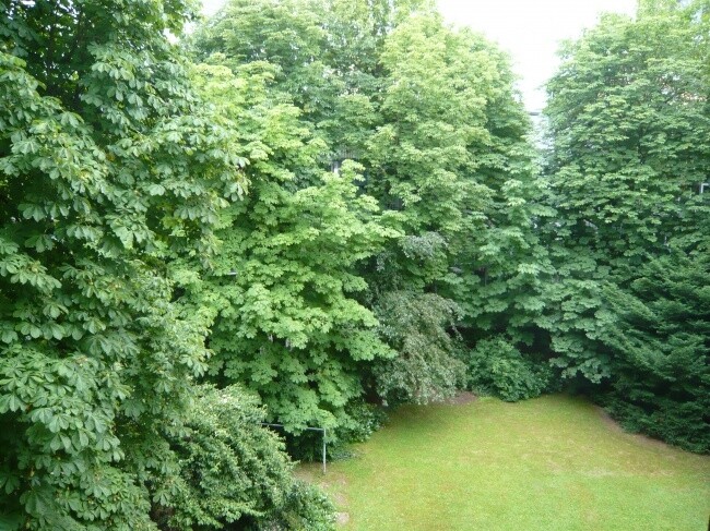 Blick nach hinten