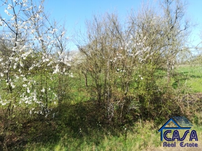 Blick aus dem Eingang