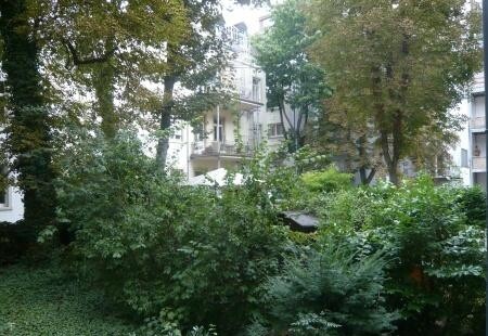 Blick in den Garten