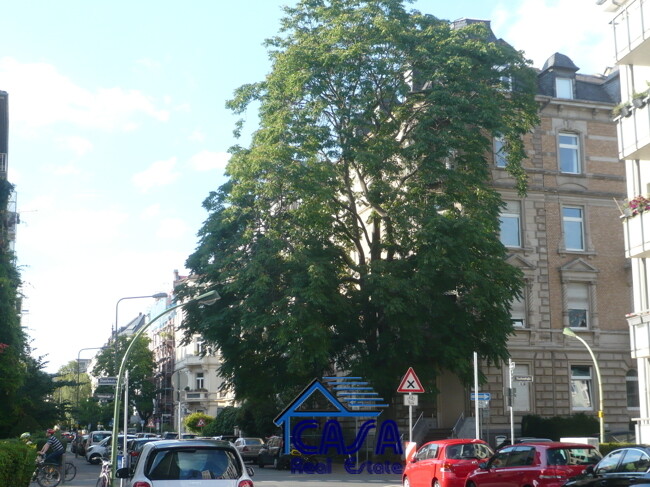 Ausblick zur Strasse