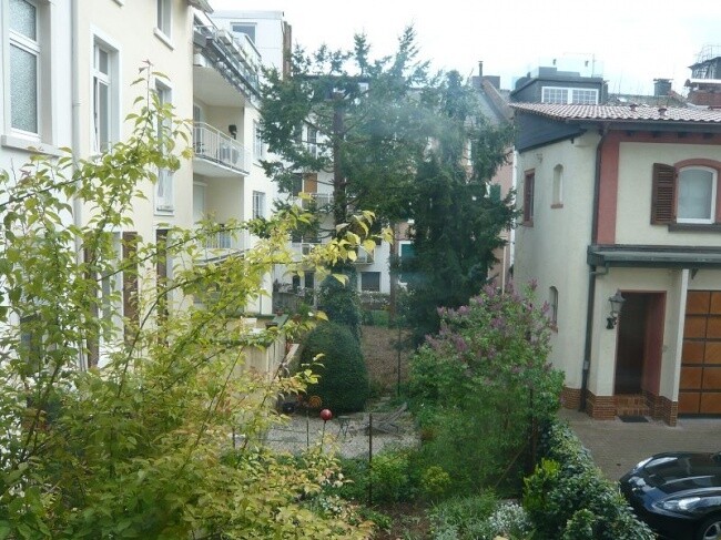 Aussicht nach hinten