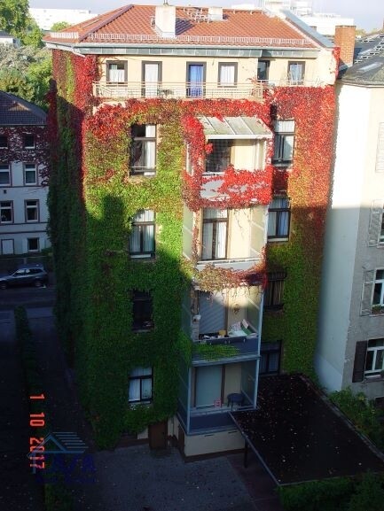 Haus von hinten