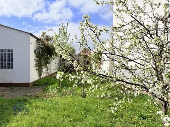 Immobilienbild