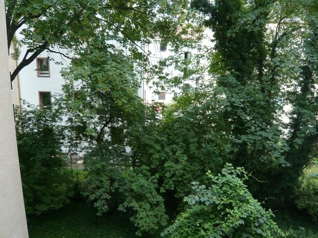 Ausblick vom Balkon