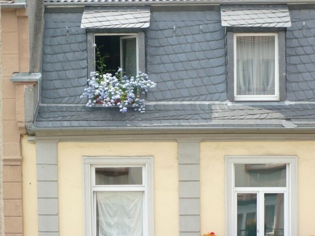 Gegenüber