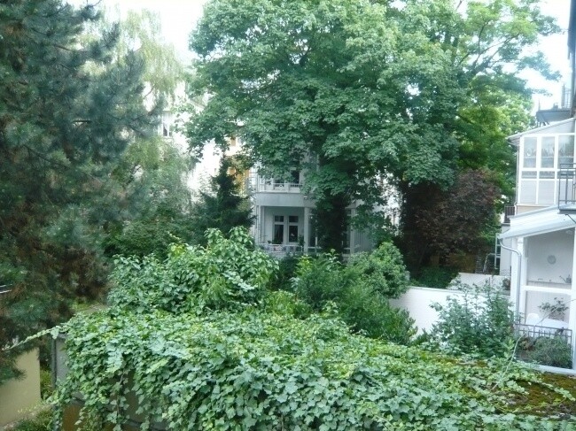 Immobilienbild