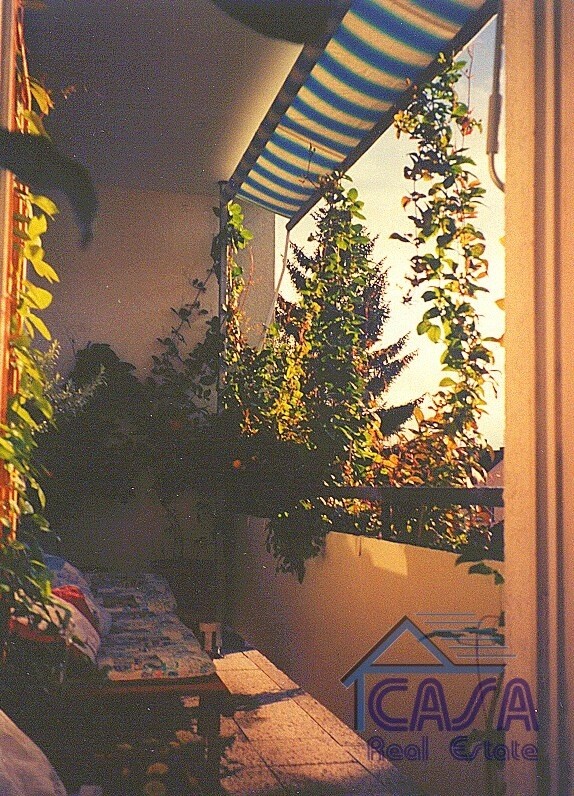 Haus