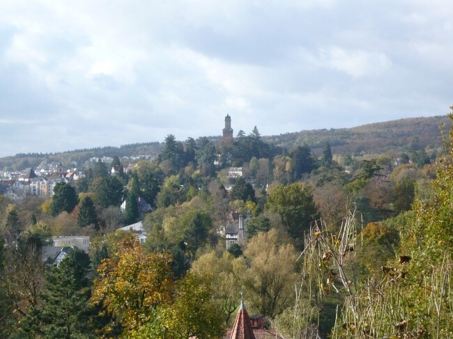 Ausblick von der Terrasse