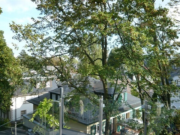 Blick in den Garten