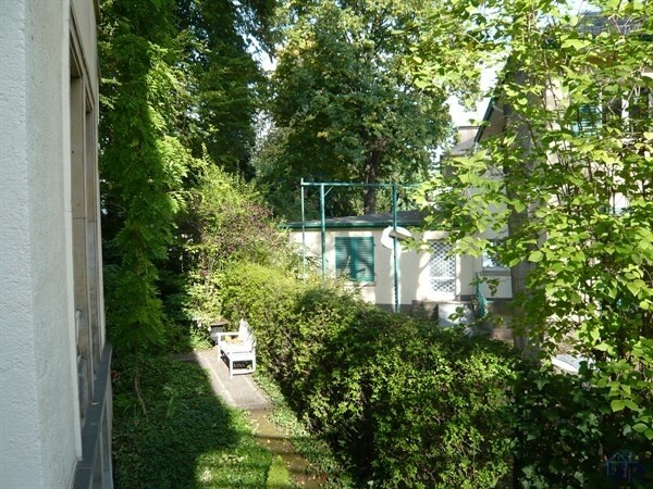 Blick in den Garten