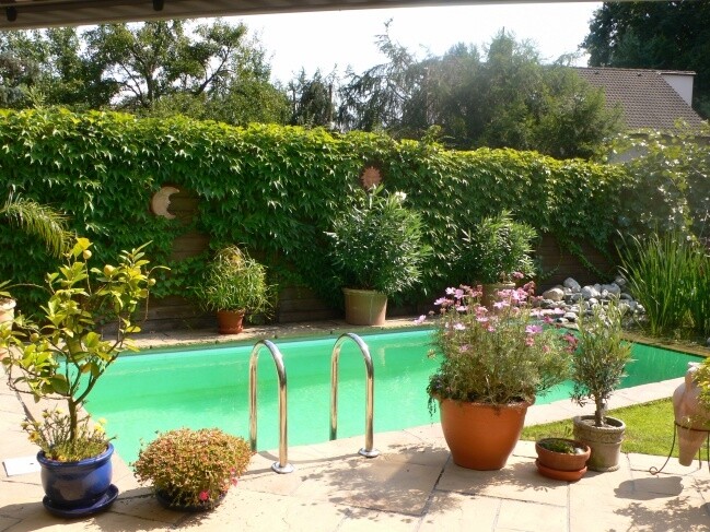 Naturpool