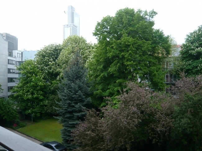 Aussicht vom Balkon im Sommer