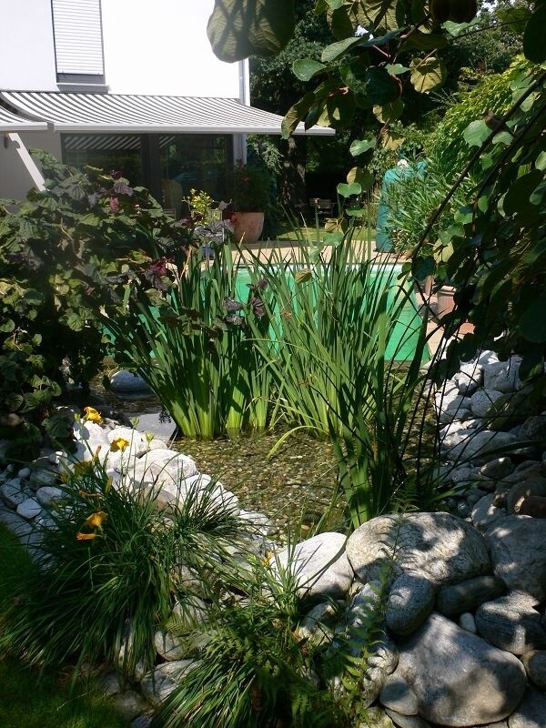Anlage um den Schwimmteich