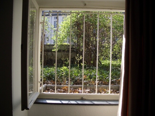 Blick in den Garten