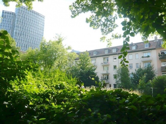 Ausblick