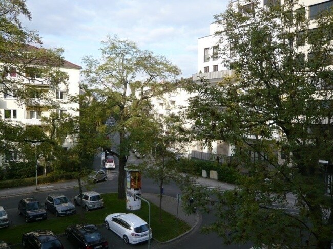 Aussicht zur Strasse