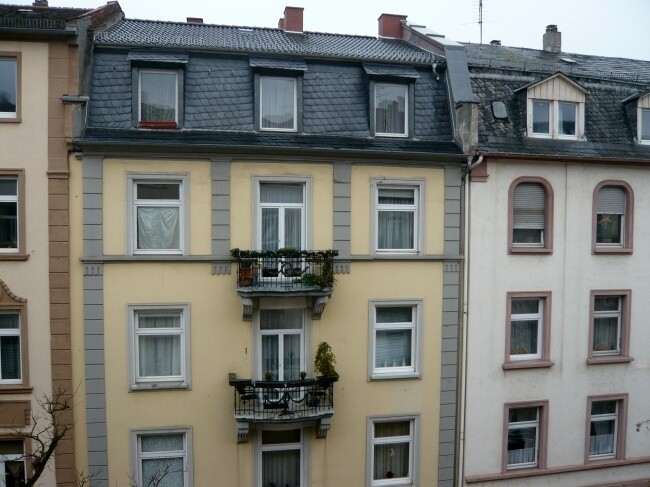 Blick nach vorne