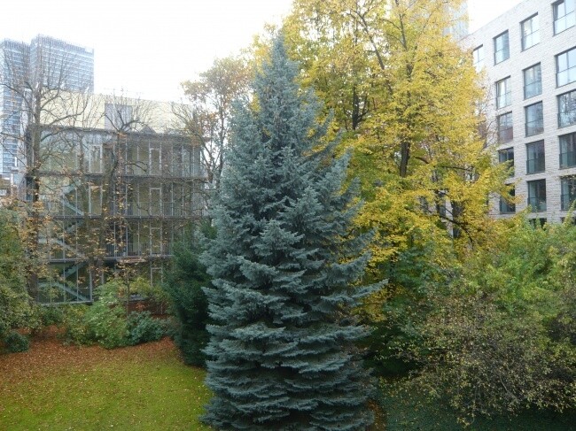 Blick vom Balkon