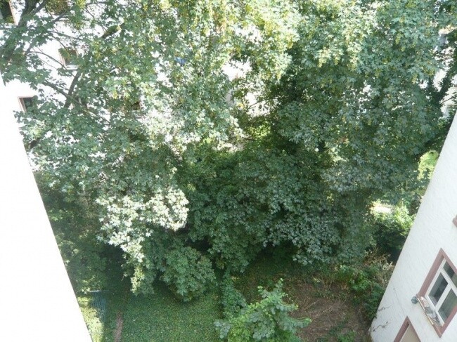 Immobilienbild