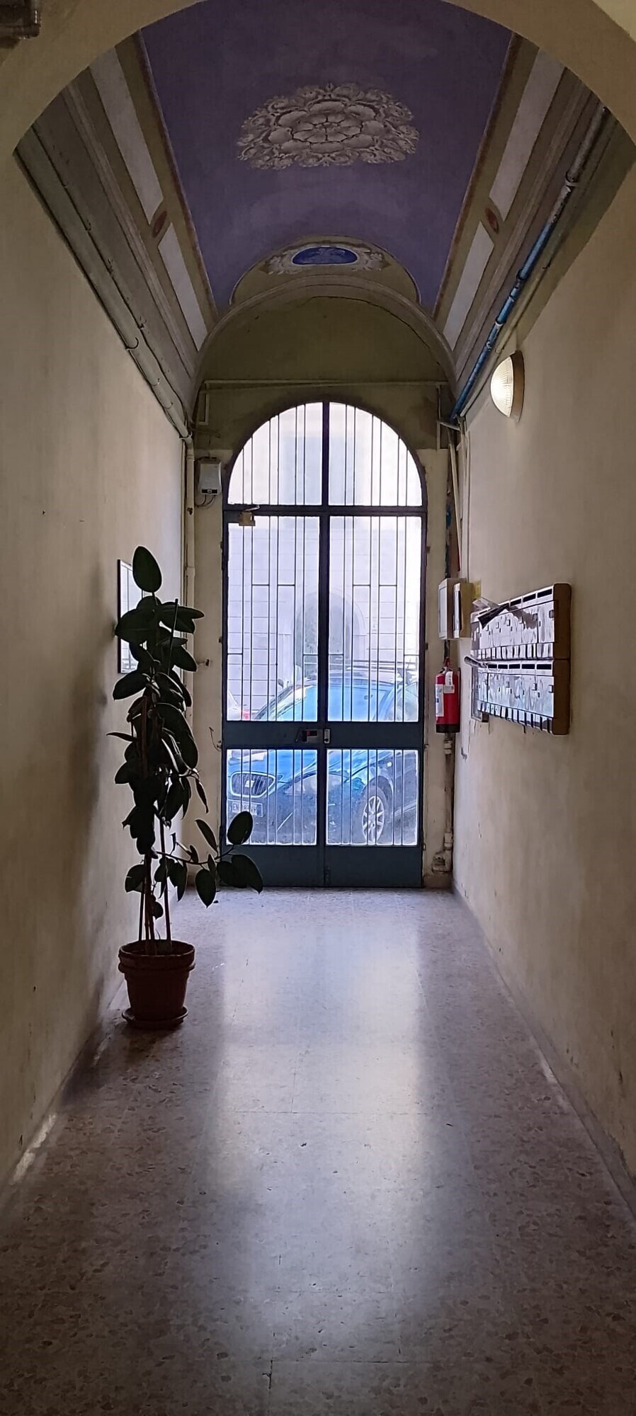 Vano sacala 1