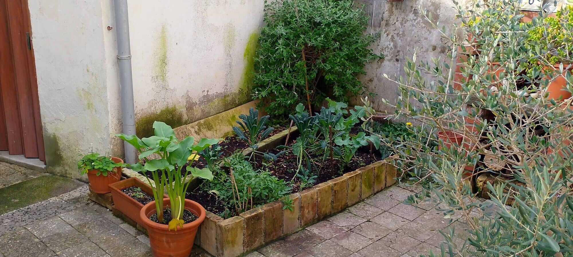 Giardino 4