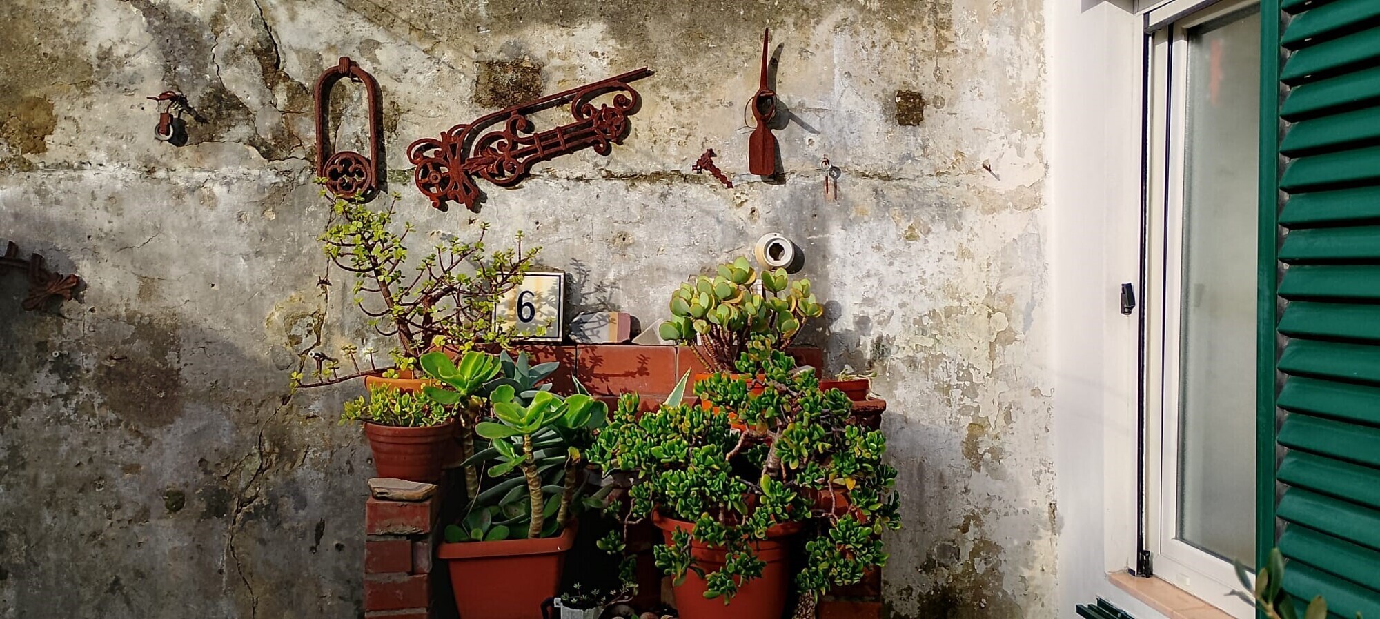Giardino 5