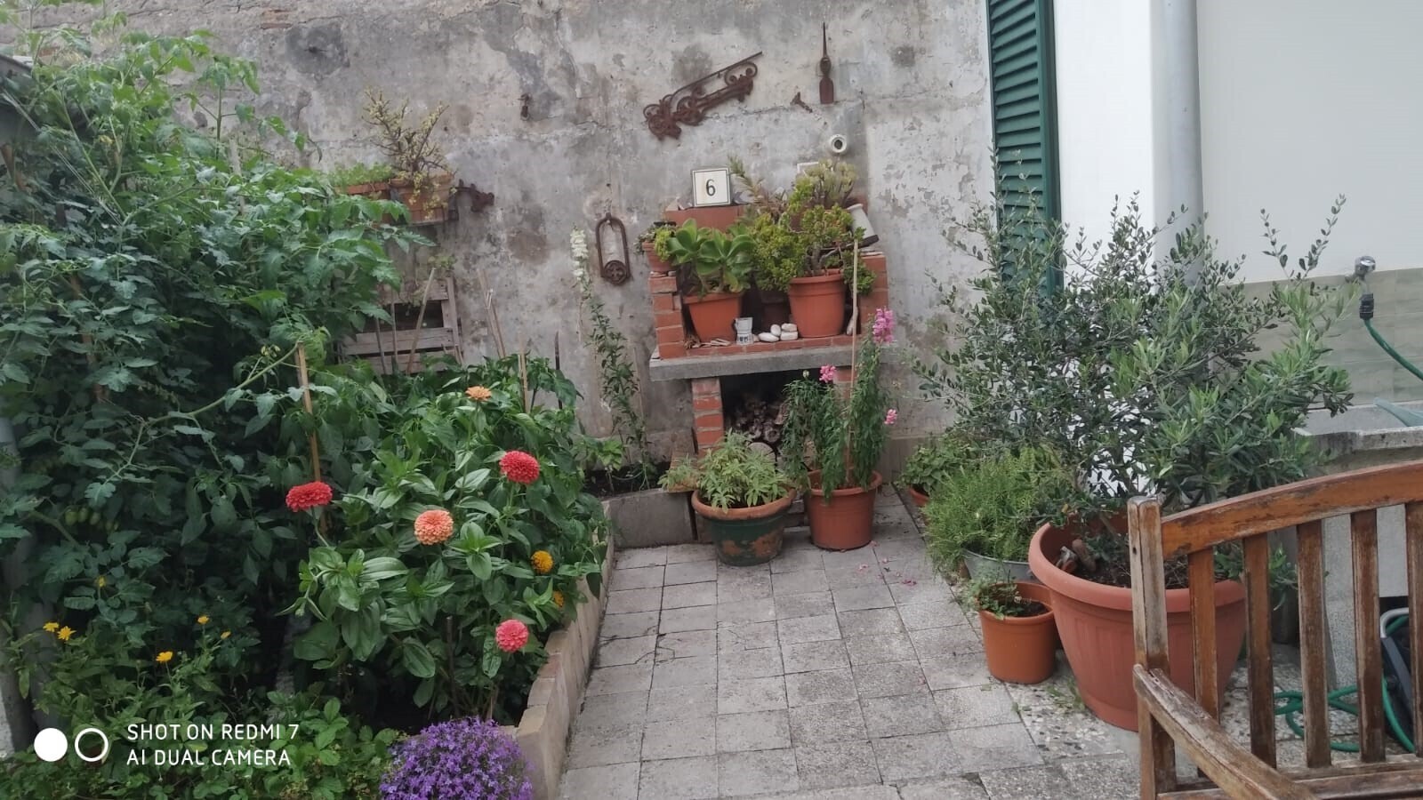 Giardino 9