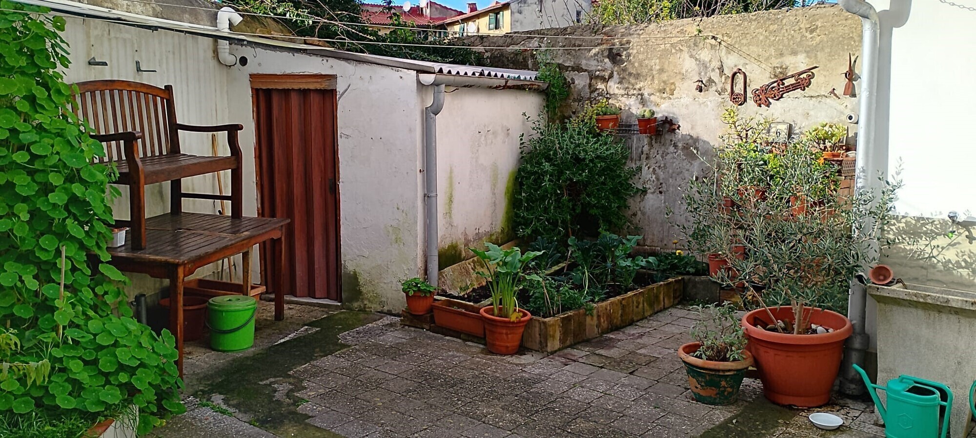 Giardino 1
