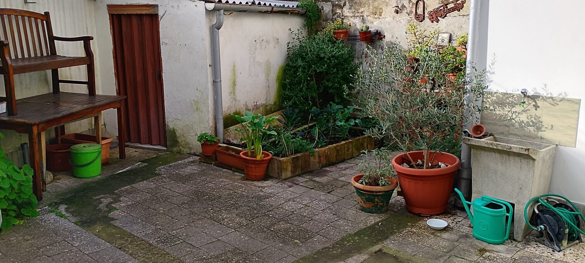 Giardino 6