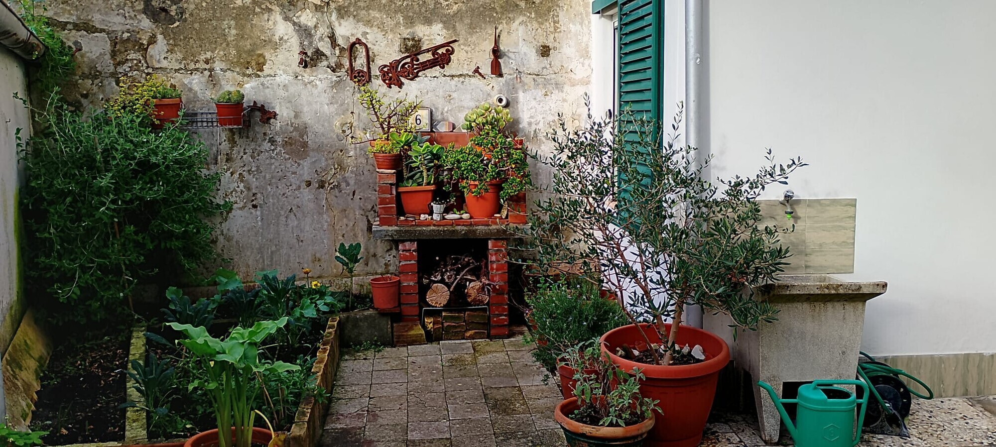 Giardino 2