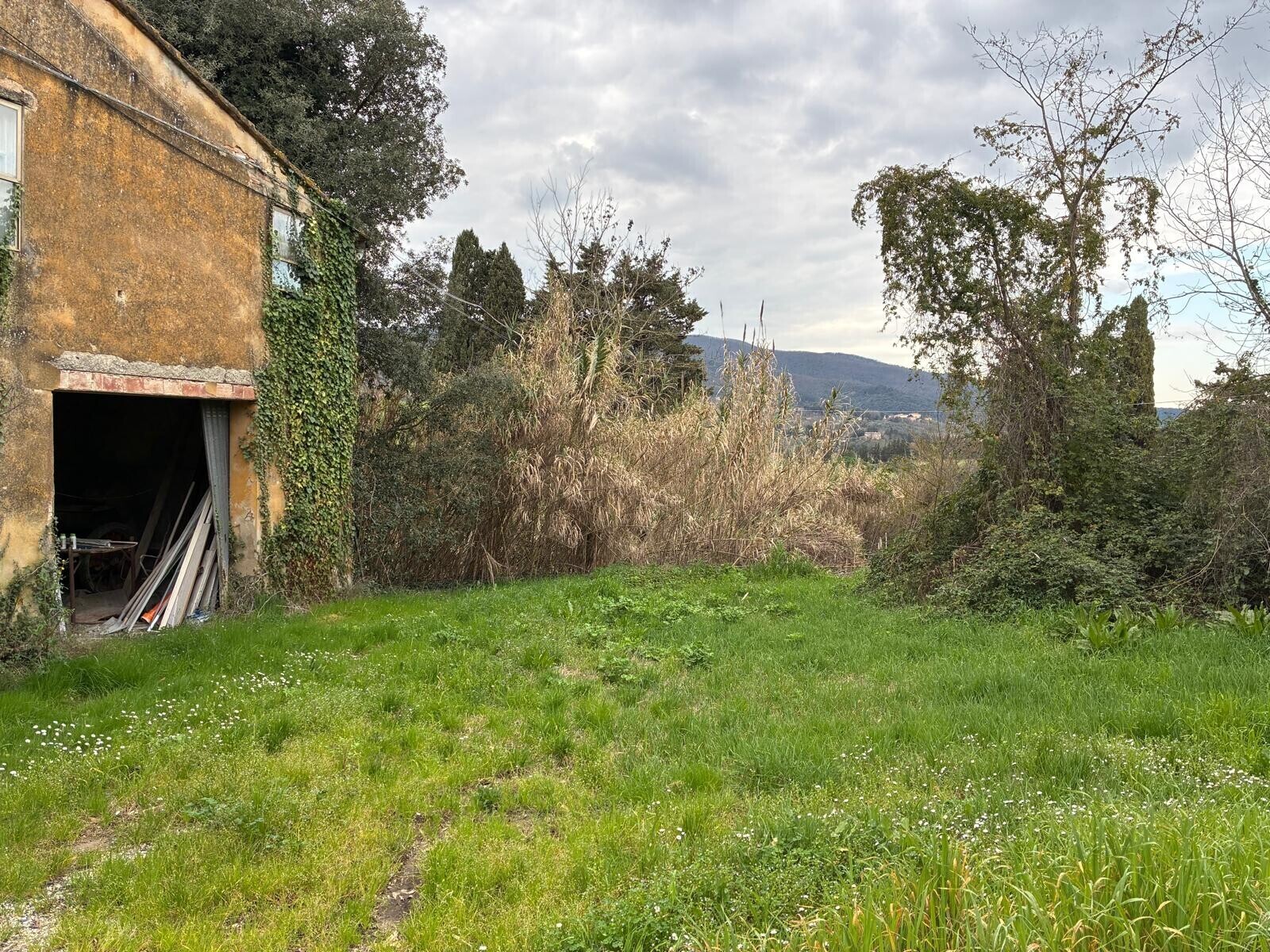 WhatsApp Image 2026-05-05 at 18.29.56 (3)