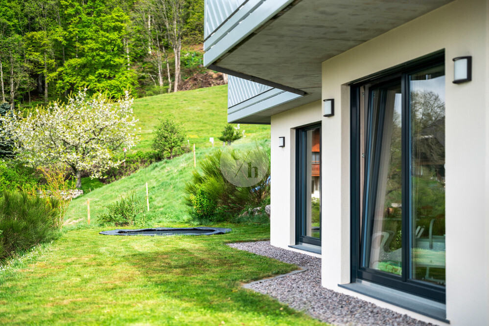 Immobilienbild