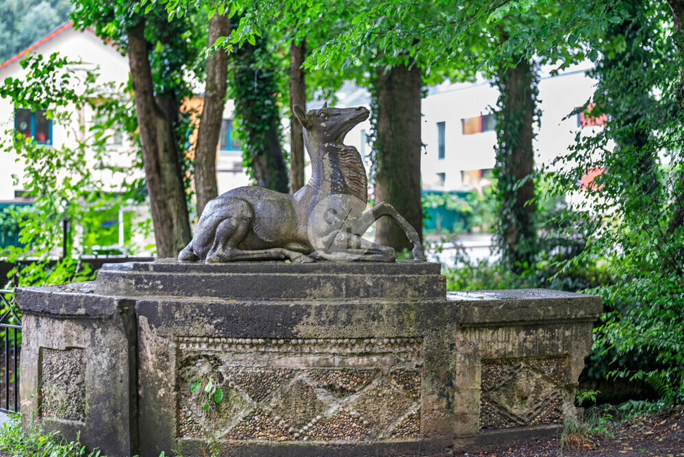 Brücke zum Haus