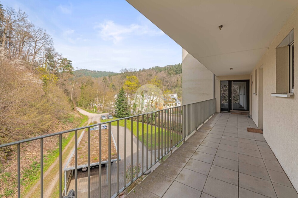 Wohnungseingang & Balkon 1