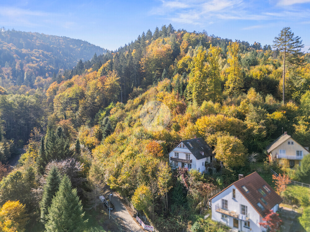 Immobilienbild