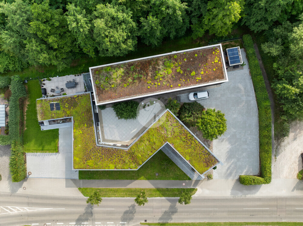 Immobilienbild