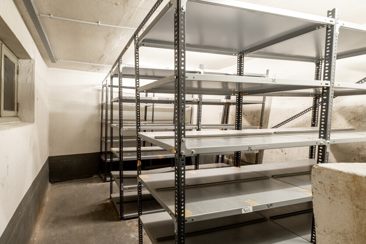 Regal-Lagerraum im Keller