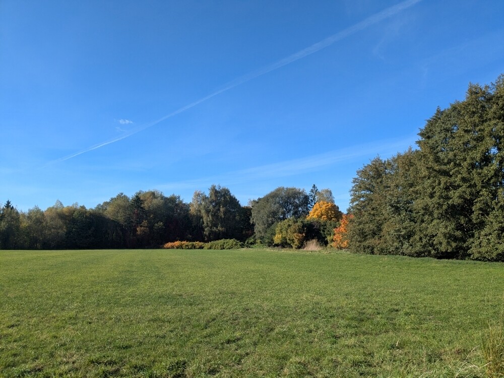 Westlich angrenzende Wiese