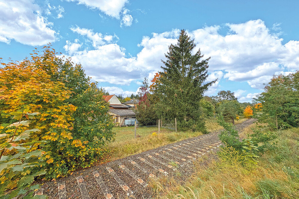 ID-2806 Lychen Wald, Weinbergstraße (57)