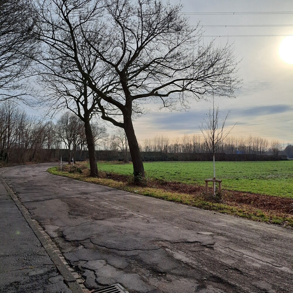 Blick von dem Grundstück