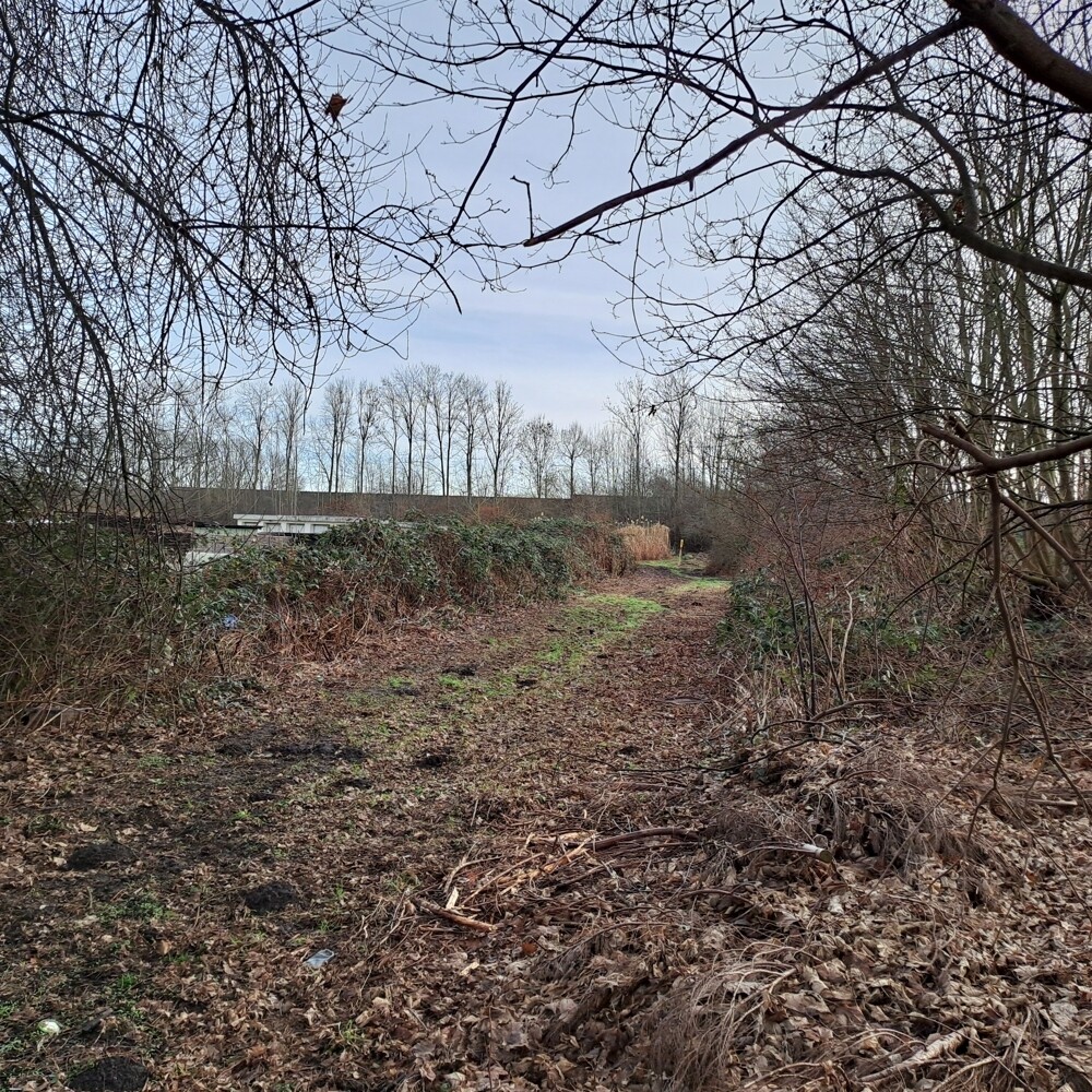 Grundstück